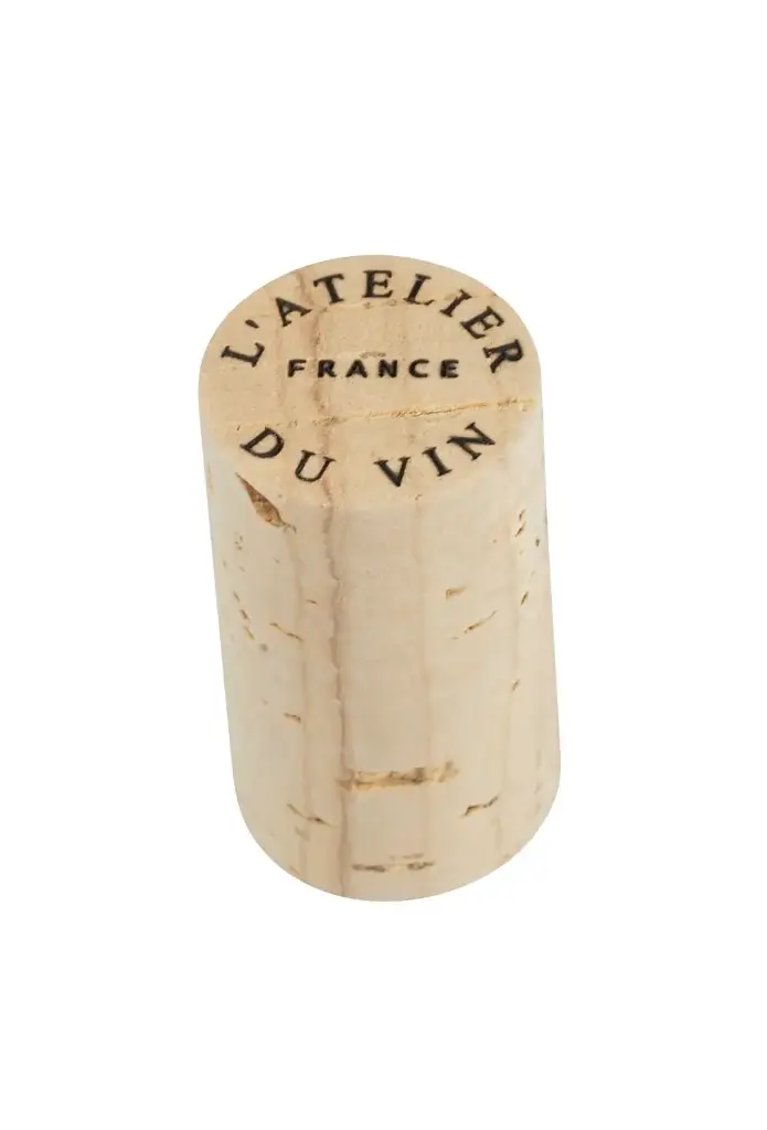 Bouchon magnet - L'Atelier du Vin