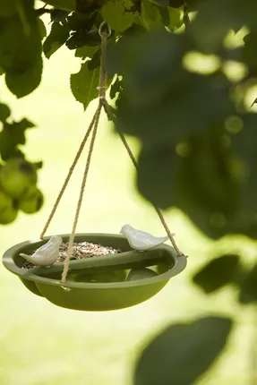 Baignoire/Mangeoire à oiseaux - Livwise