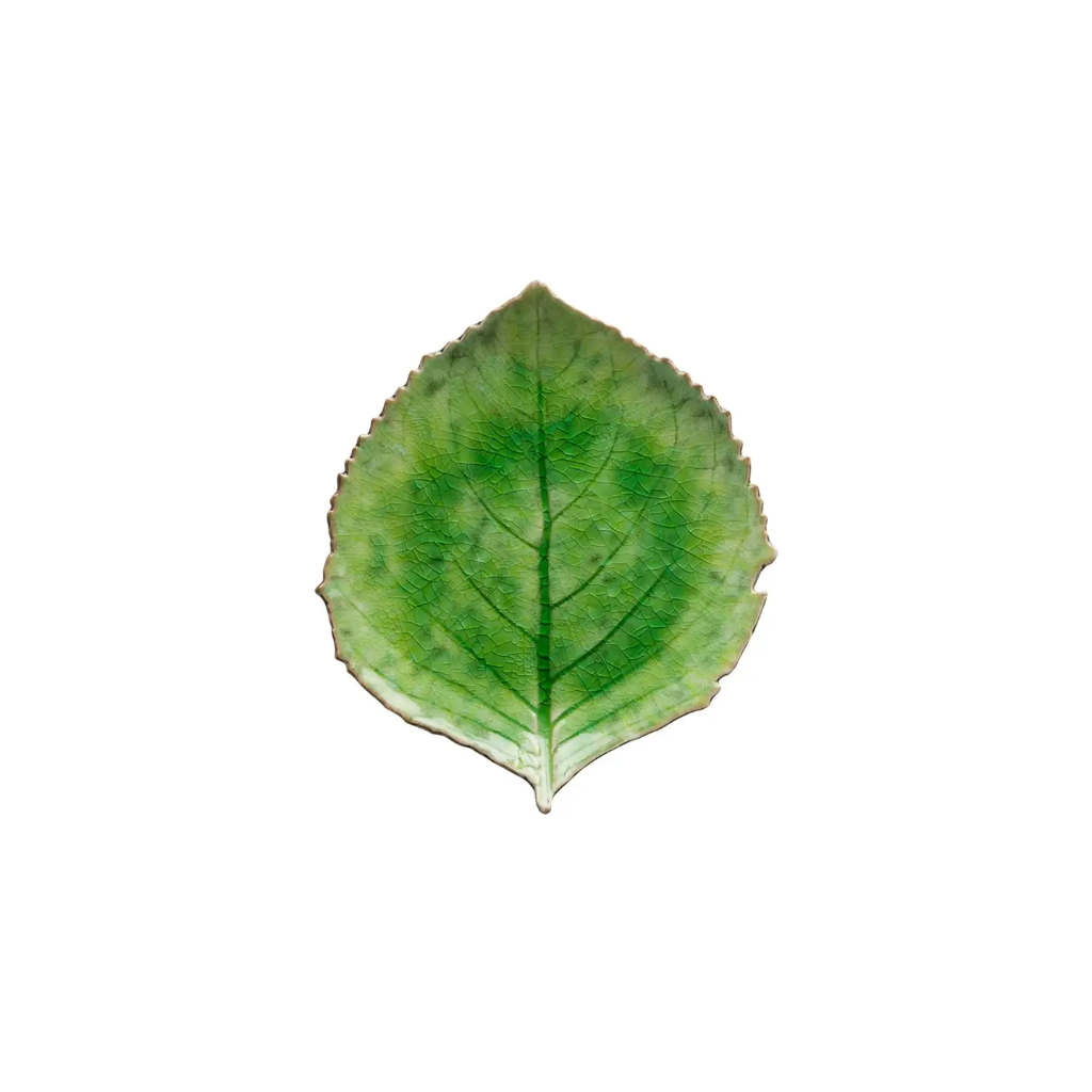 Plat Hortensia - Costa Nova (Light green)