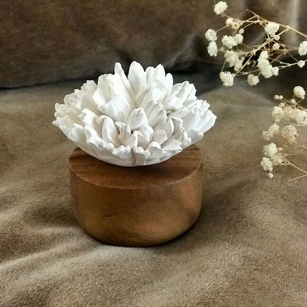 Diffuseur œillet du Japon blanc - Anoq